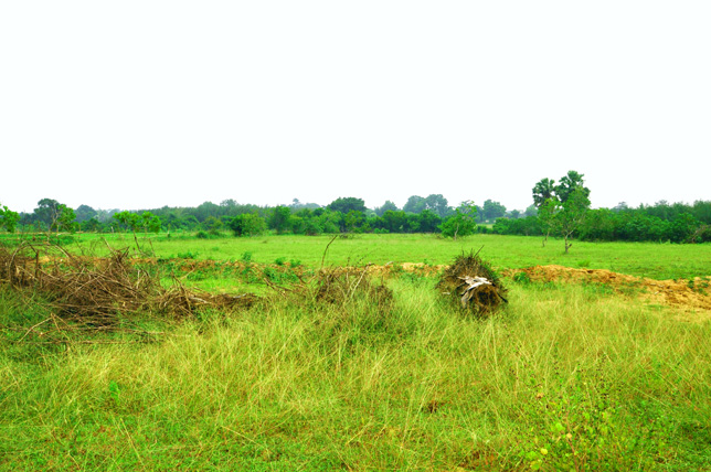 Entrance Land view of Our Ashram in South India Entrance Land view of Our Ashram in South India
