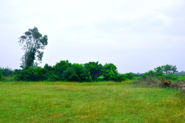 Right Front Land view of Our ashram in South India Right Front Land view of Our ashram in South India