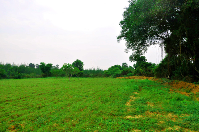 Left Land view of Our Ashram in South India Left Land view of Our Ashram in South India