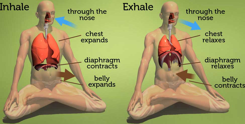 Breathing in yoga