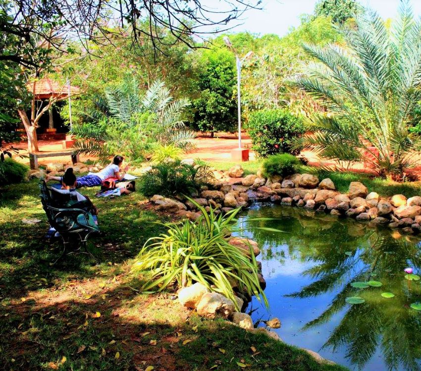 pond-min