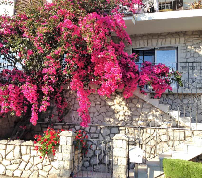 yoga-retreat-croatia-croatia3-052-min