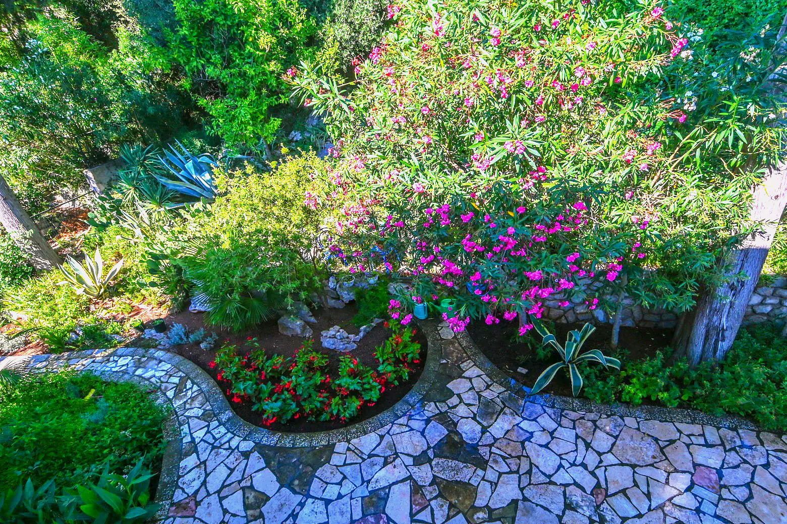 Garden 2