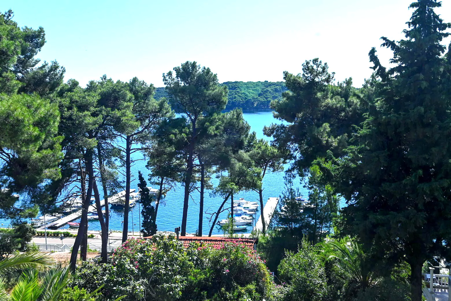 Terrace View Forest